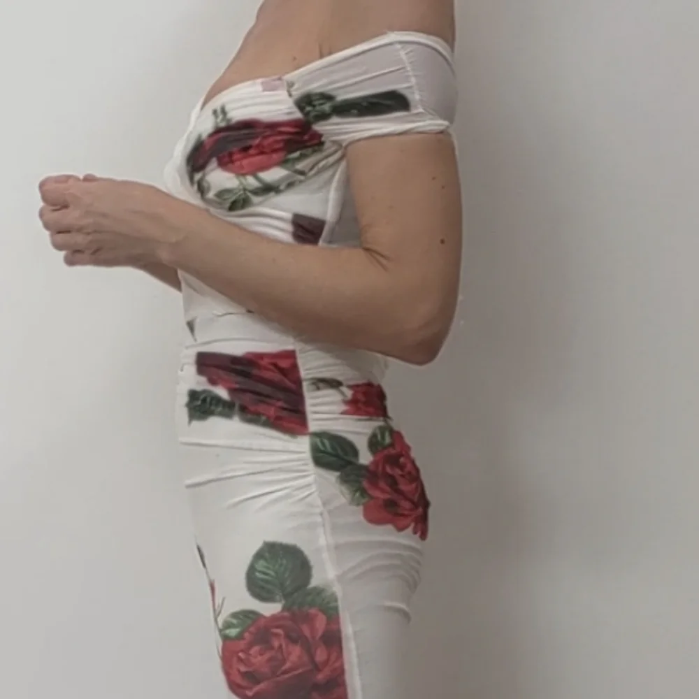 Los Angeles sample naked sheer dress roses w liner xs - Picture 5 of 6